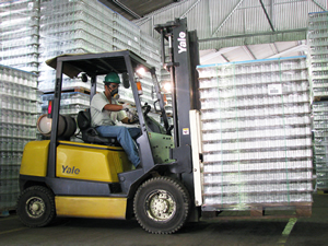 almacen-distrividrio